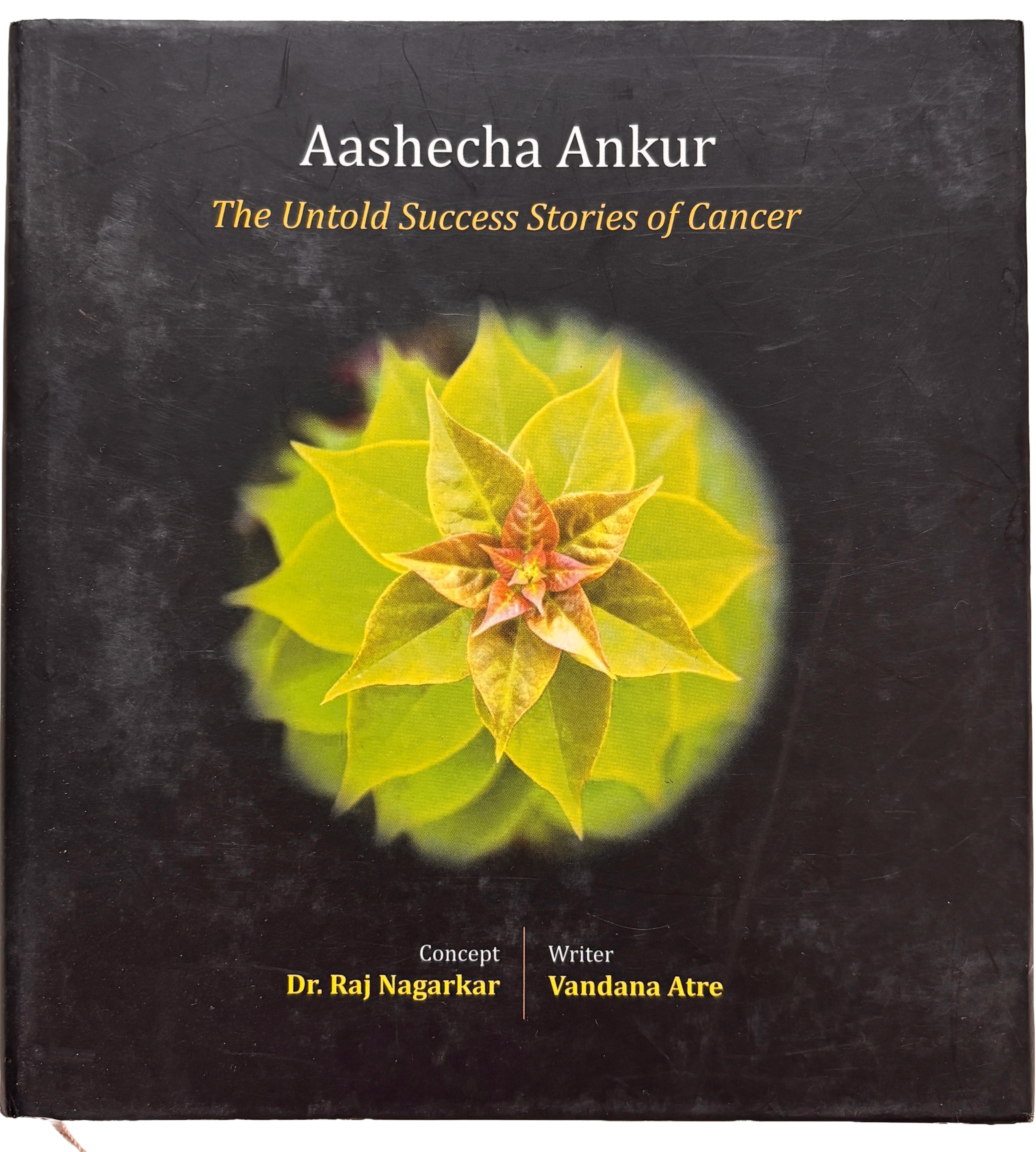 Aashecha Ankur book cover