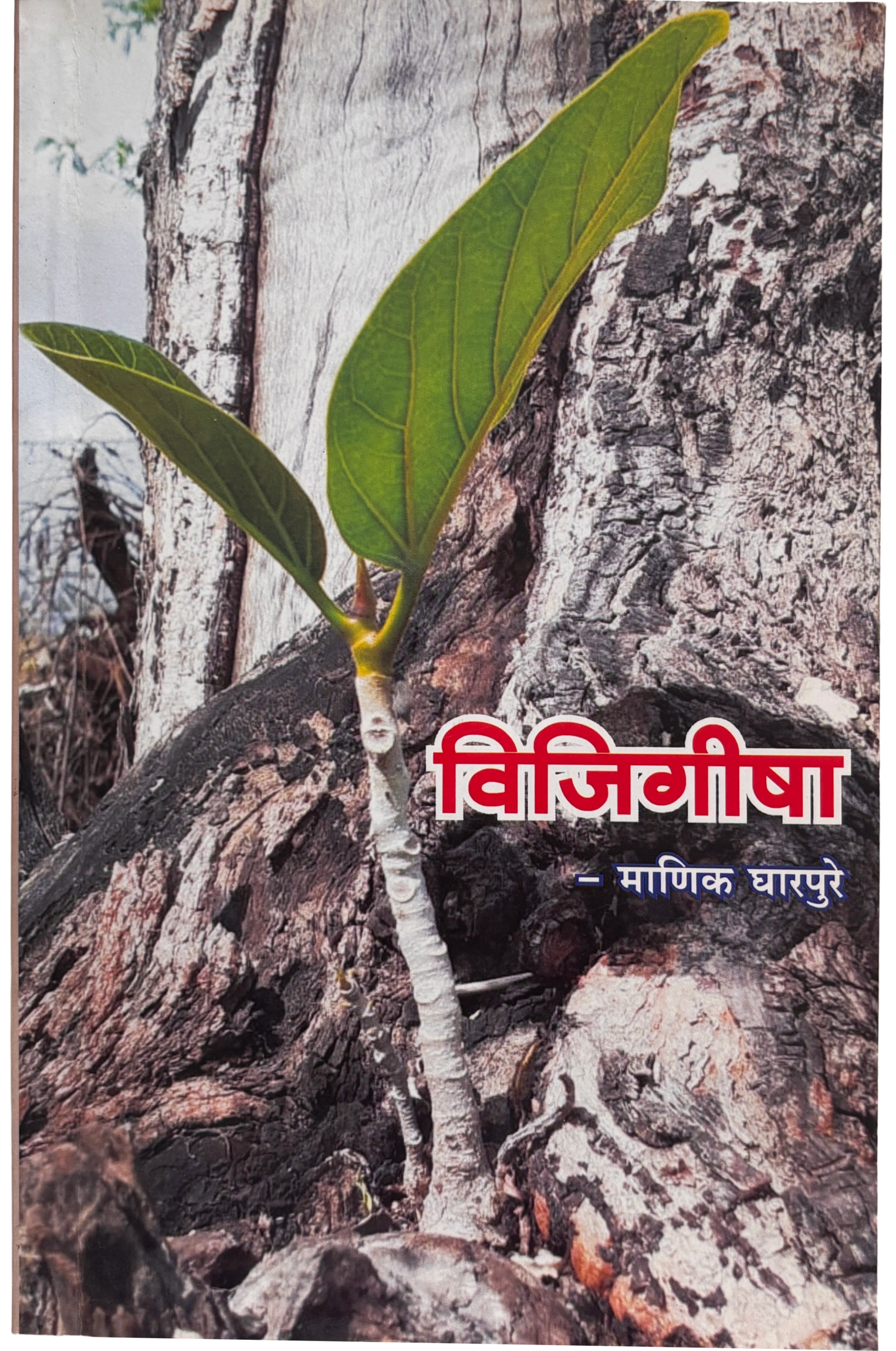 Vijigisha book cover